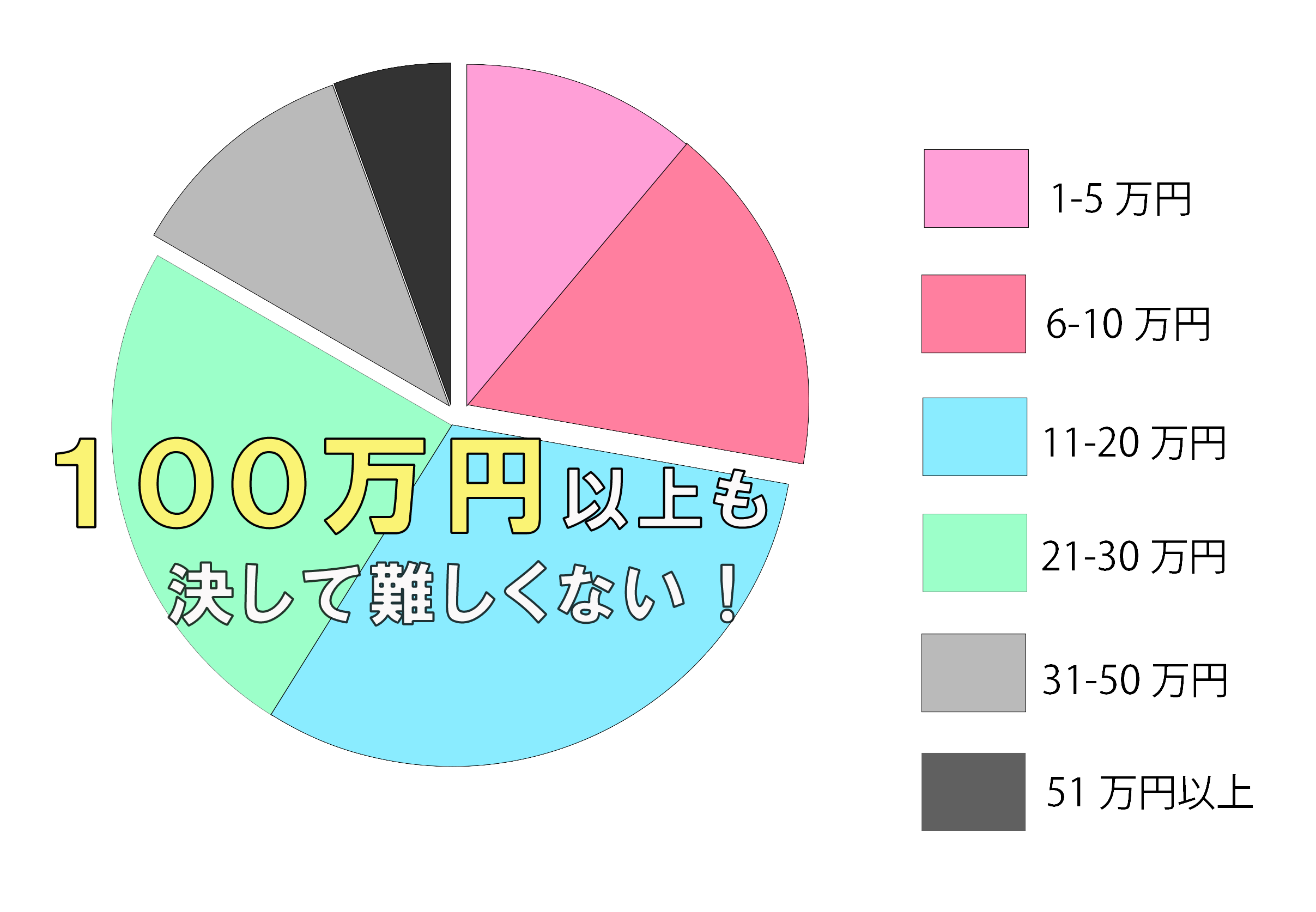 収入の円グラフ