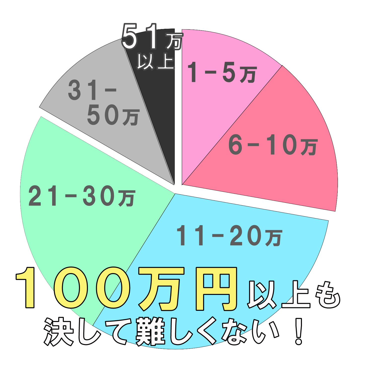 収入の円グラフ